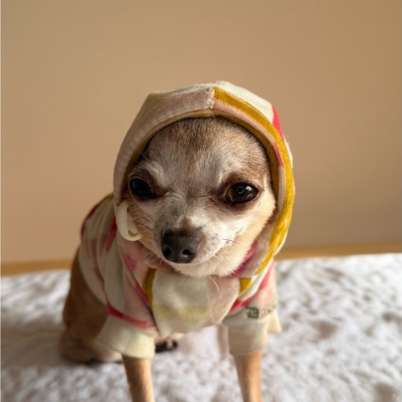 ✨ Juicy Couture Velour Dog Hoodie XS ✨ - Picture 3 of 9